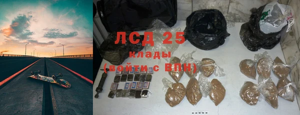 ГАЛЛЮЦИНОГЕННЫЕ ГРИБЫ Баксан
