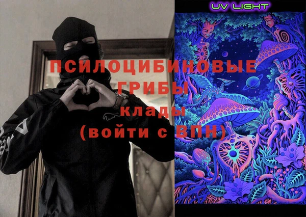 ГАЛЛЮЦИНОГЕННЫЕ ГРИБЫ Баксан