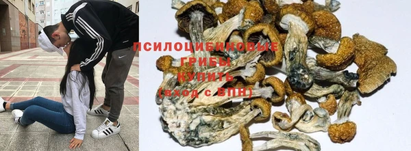 ALPHA PVP Балабаново