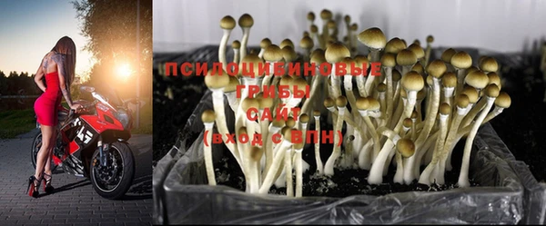мет Балахна